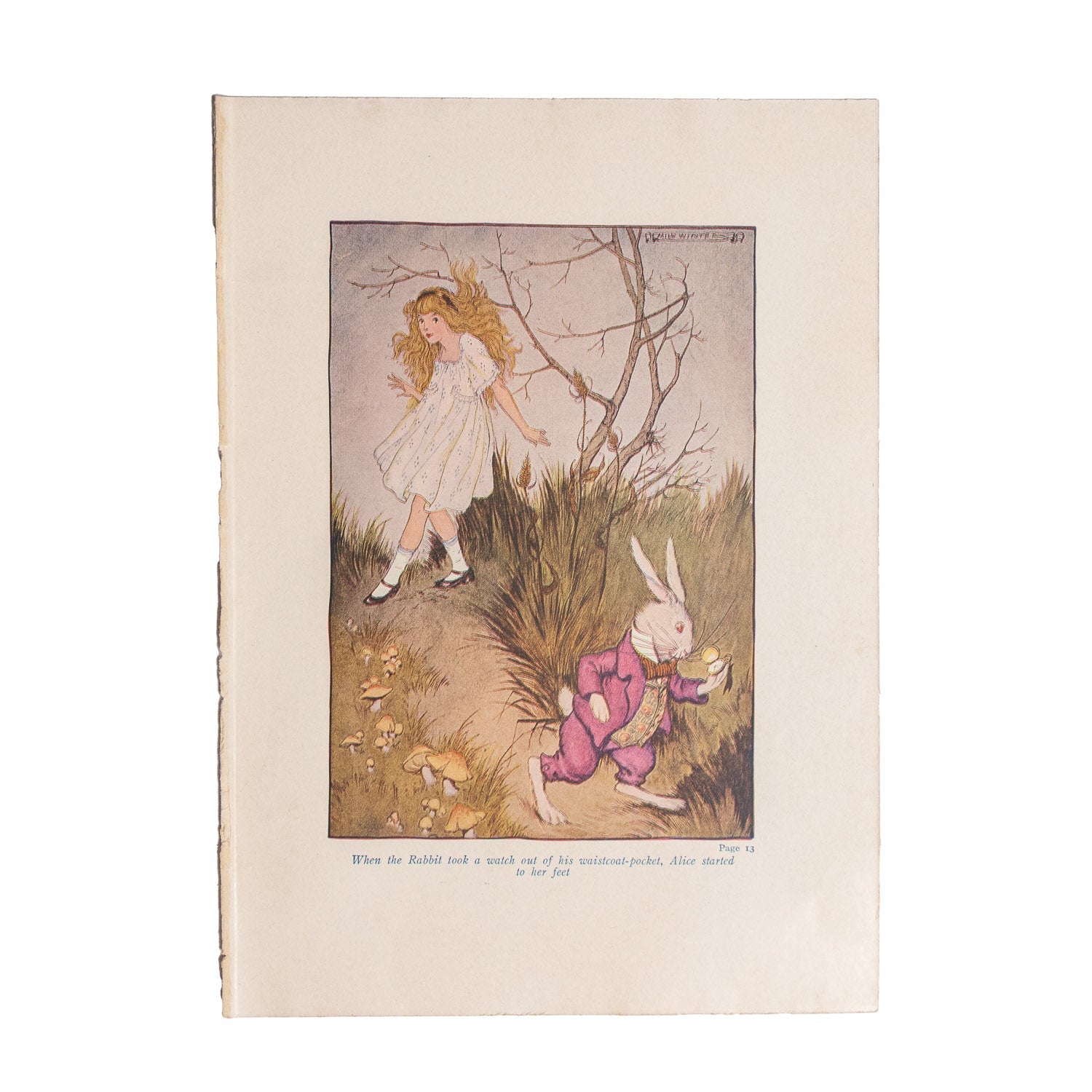 Alice in Wonderland (1916 Windermere Series) - Color Plates - Gladfellow